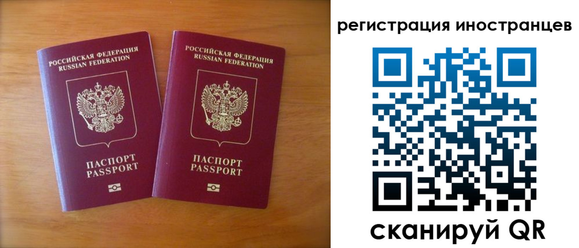 прописка поиск в Благодарном
